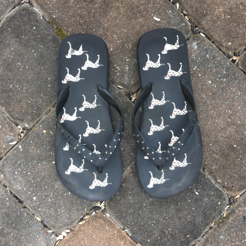 Stewart Weitzman Flip Flops